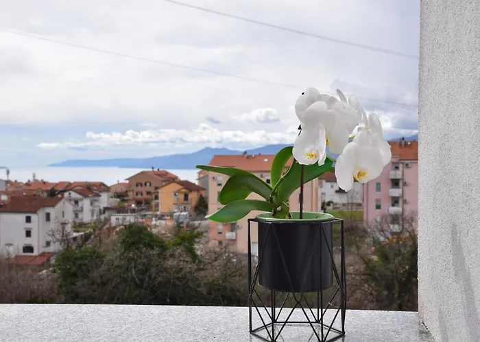 Totale Daire Rijeka